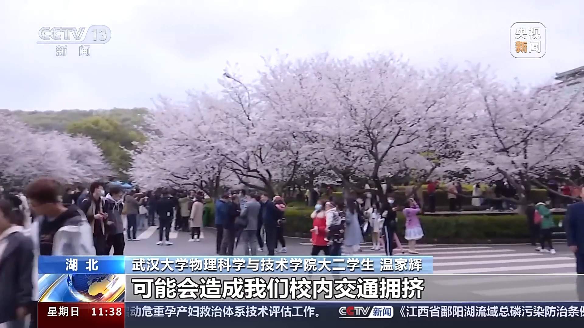 多所高校宣布开放校园方便公众参观