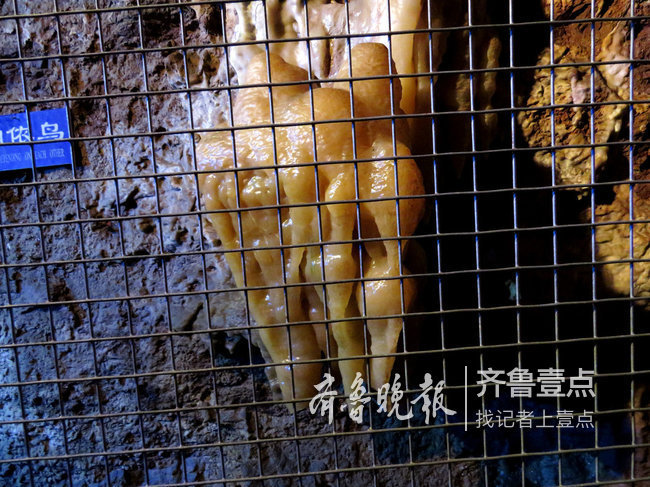 沂水地下溶洞钟乳石竟被“敲下”偷走!3嫌疑人均已归案