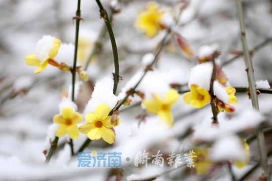 入冬以来全国最大范围降雪今日最盛，济南可能被完美绕开?