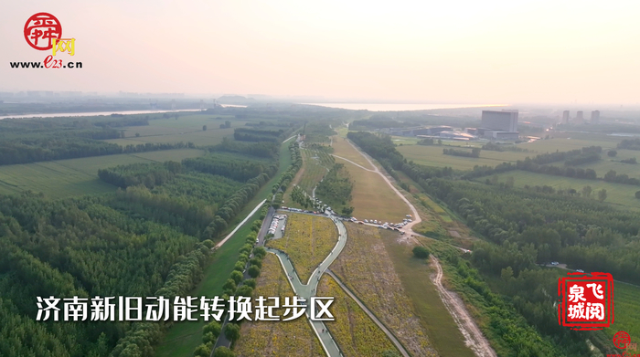 舜视频｜黄河岸边的向日葵花海 您来打卡了吗