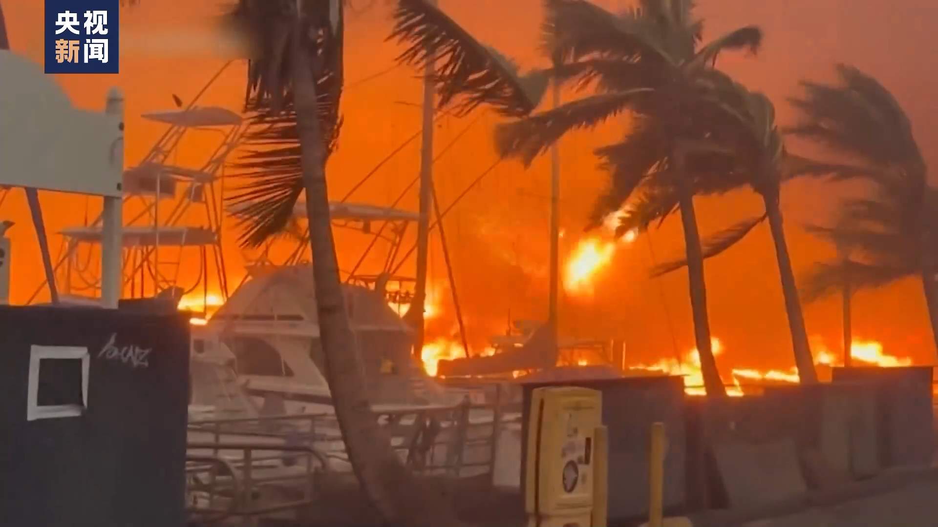 毛伊岛大火后美地产商欲低价“掠夺”灾民土地 电力公司试图推卸责任