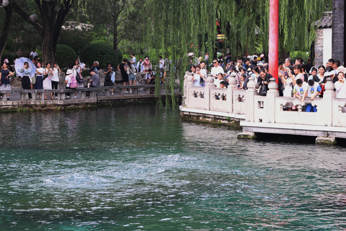 趵突泉地下水位八连涨 “趵突腾空”胜景重现