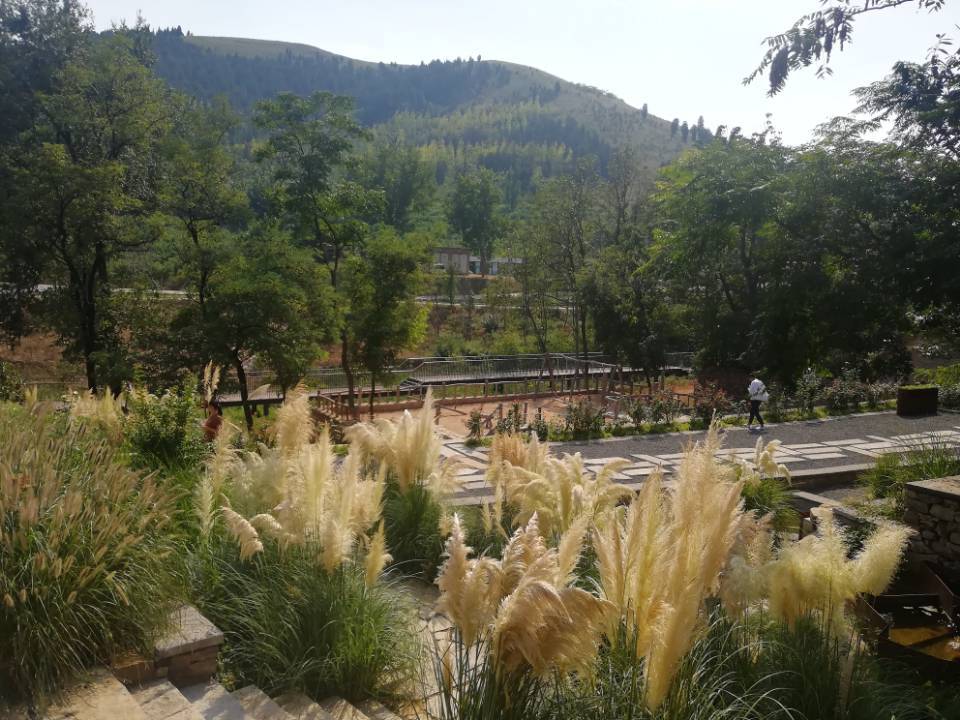 乡村振兴齐鲁行丨看山东首个国家级田园综合体是如何炼成的