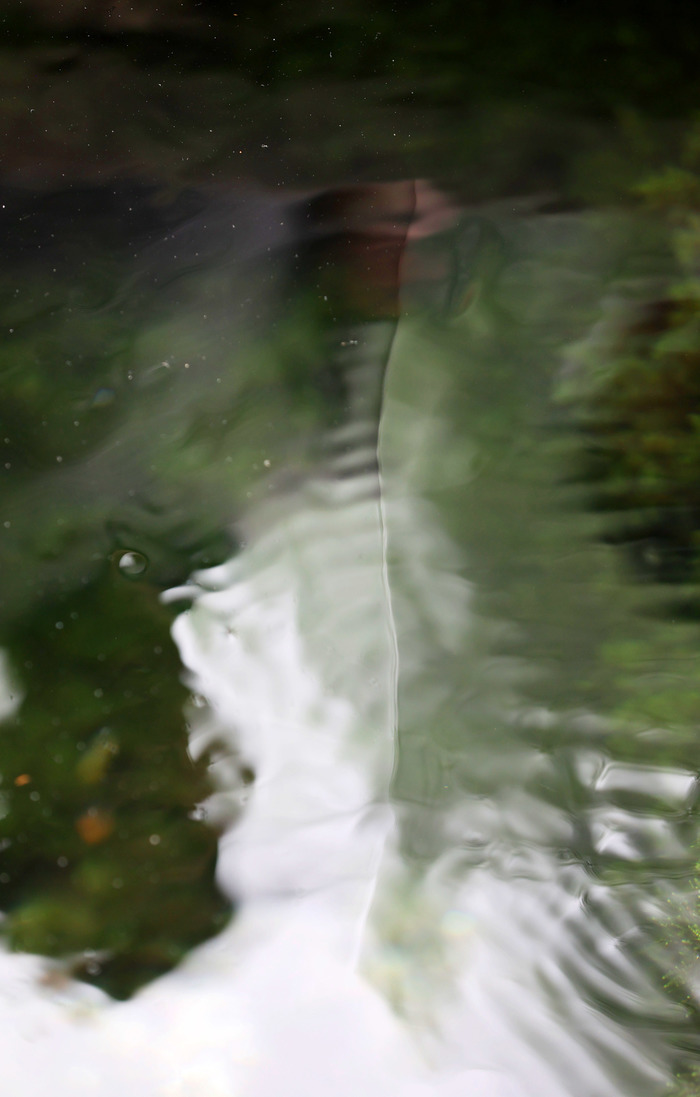 泉水奇观，难得一见！济南金线泉“金线奇观”再现