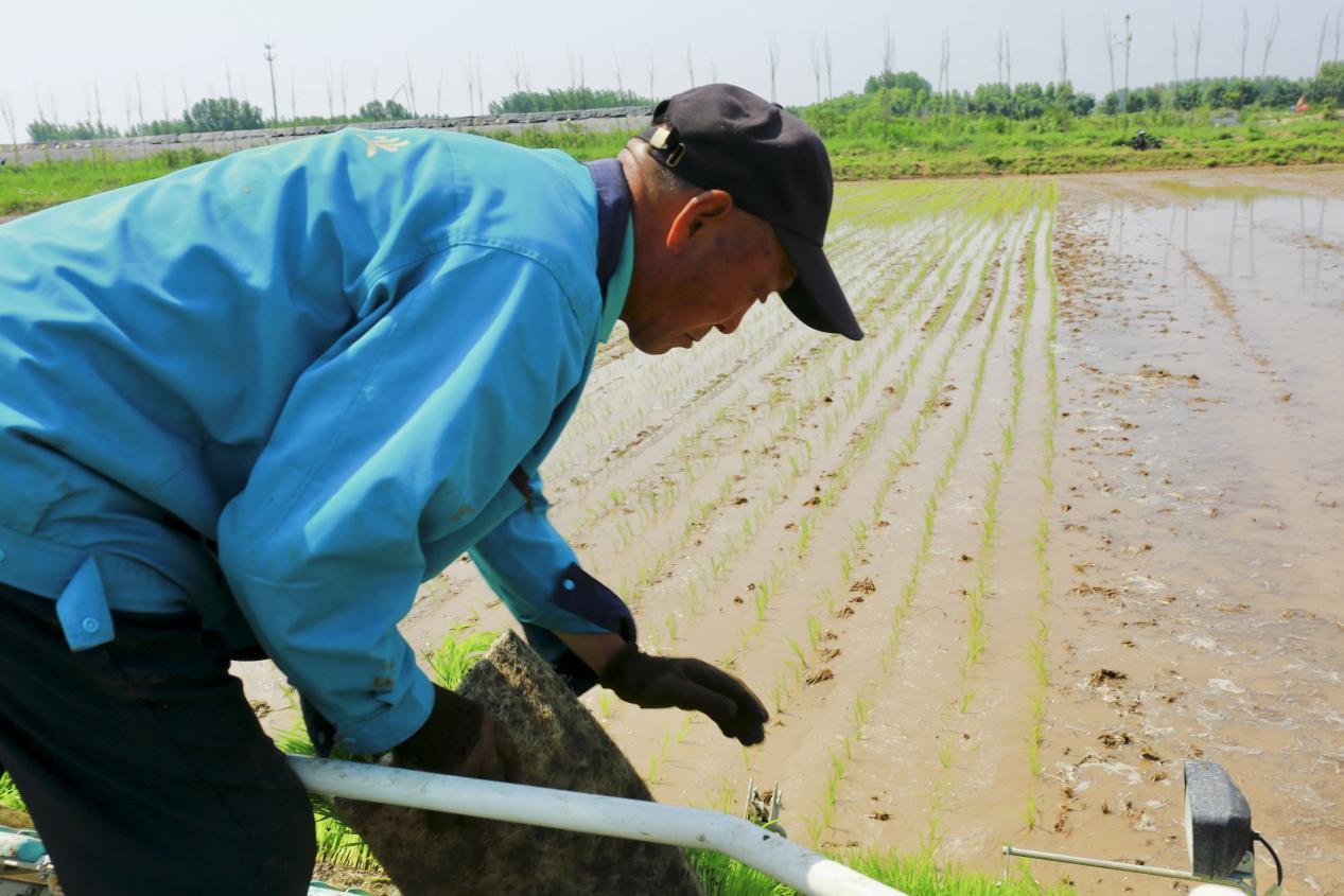 芒种时节，泉水人家的人儿已经“忙着种”啦！
