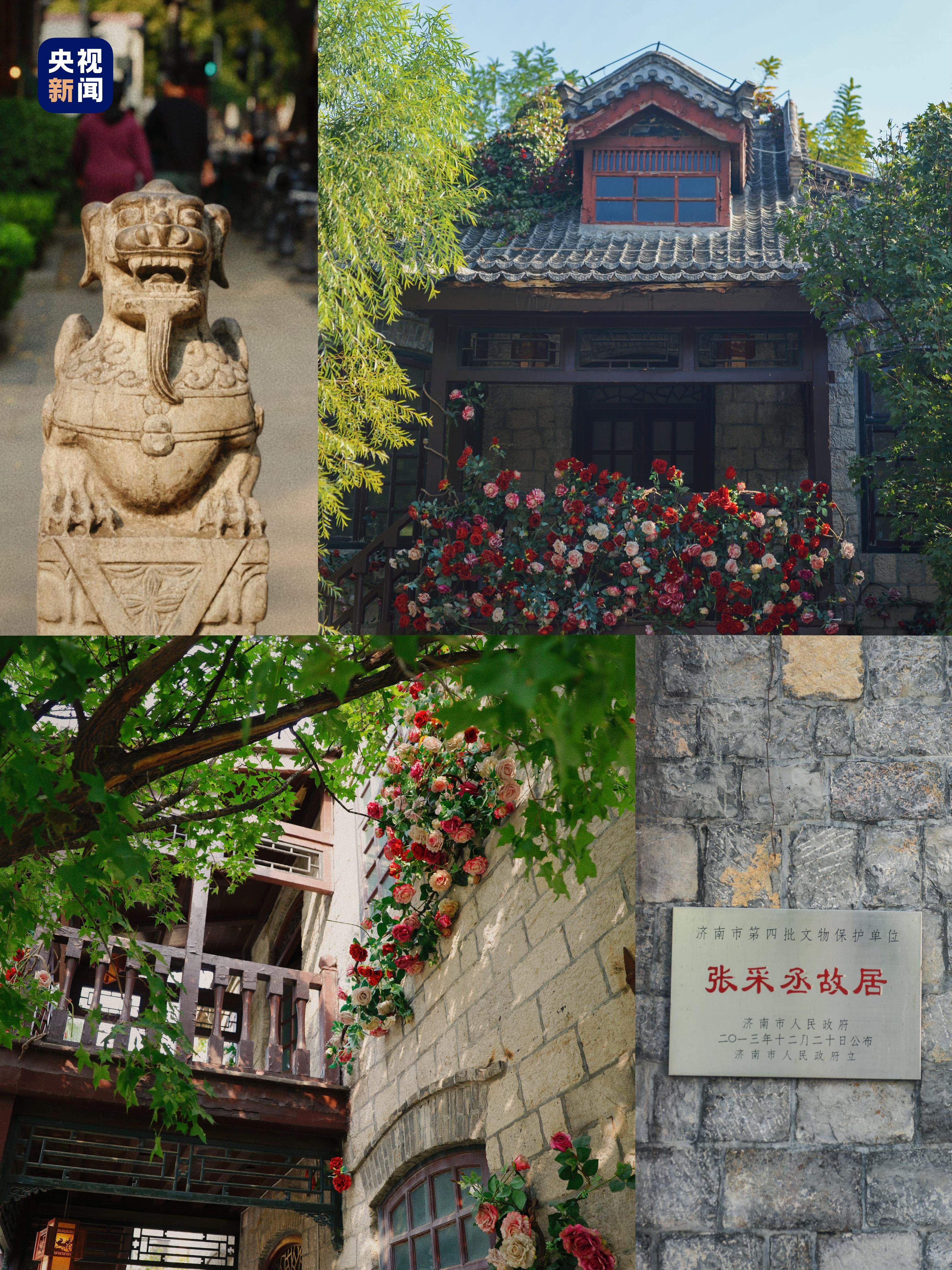 济南Citywalk｜这里是老舍先生笔下的泉城秋意