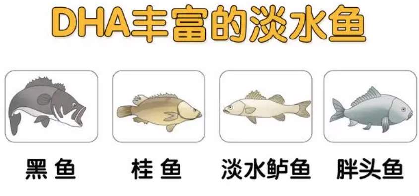 509a895e7d211e2774cd66fa12d88b68.png?q=65