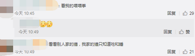 喵星人飞扑救下小主人！网友以为宝宝被咬，结果下一秒感动不已