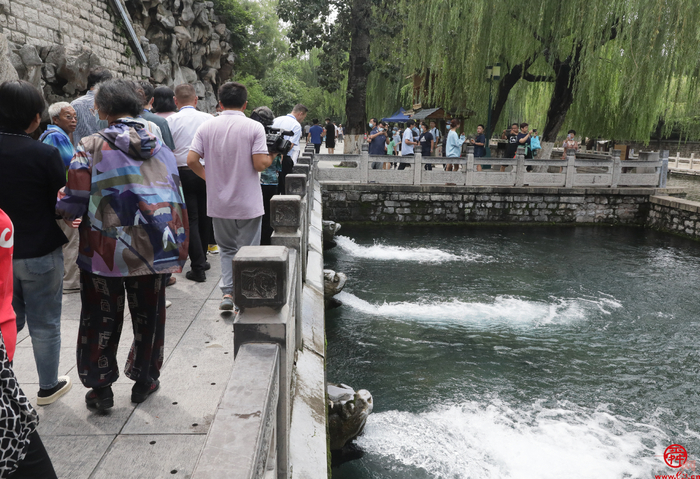 家家泉水看今朝 济南政协启动“深化泉水直饮工程 圆泉城人喝泉水梦”专题“商量”