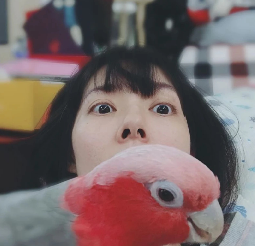 【吃瓜】郭碧婷再被疑怀孕 旅行照穿的宽松也有凸起孕味十足