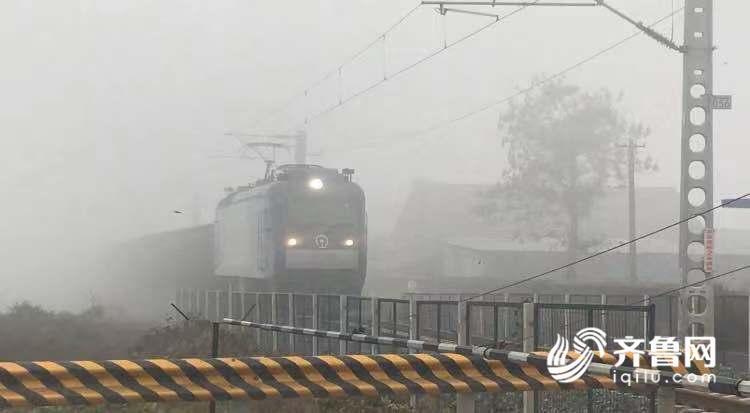 山东大雾来袭！雾气笼罩下楼宇开启“隐身模式”