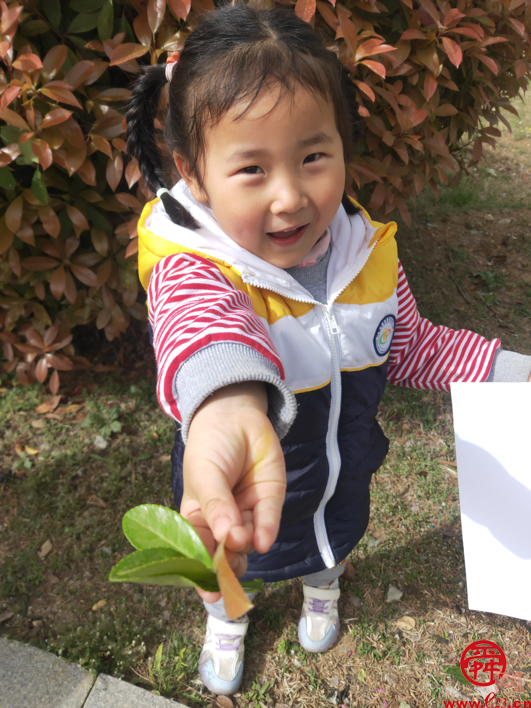 济南市莱芜实验幼儿园星星班 “与春天撞个满怀”春游札记