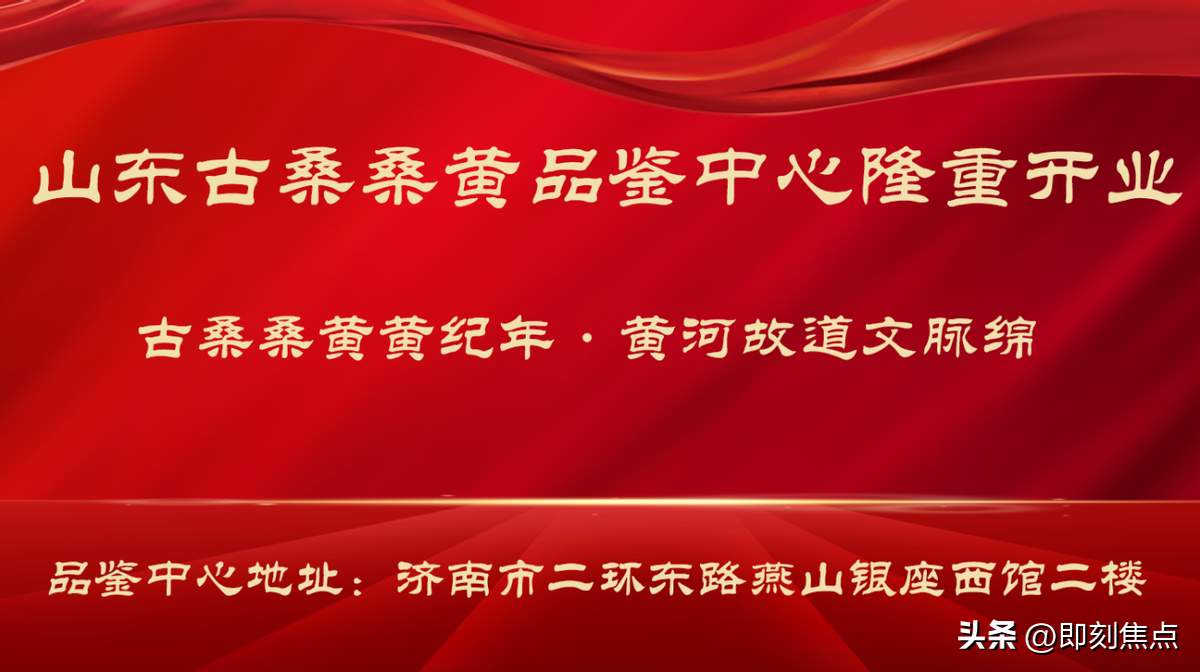 古桑桑黄黄纪年，黄河故道文脉绵！山东古桑桑黄品鉴中心开业