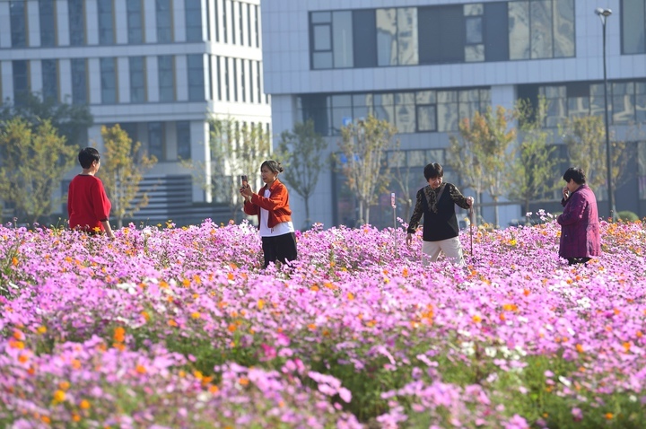 坐地铁赏花海，济南轨交3号线新站开通