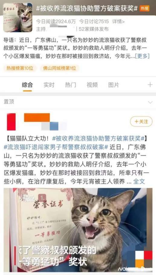 “流浪猫协助破案”，冲上热搜！警方辟谣