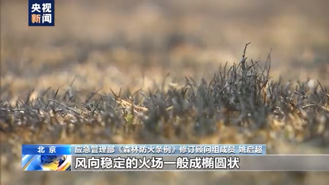 又到清明，因祭扫引发的森林火灾竟有这么多起？后果很严重