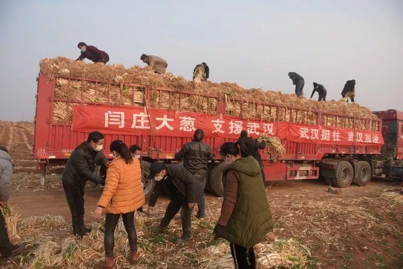 今日元宵节，我们想讲15个关于家的故事