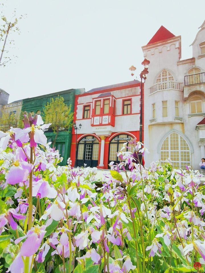 山东文旅集团托管 济南“紫缘香草园”焕新升级济南“花 young park”