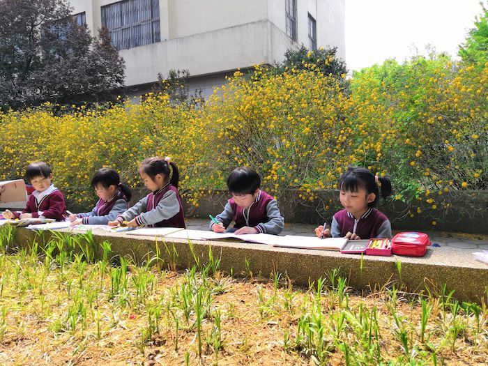 济南卓雅幼儿园春游活动:闲步大黉舍园 咏诵多彩春天