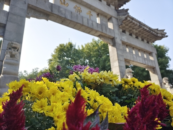 本周五启幕！千佛山“九月九”重阳山会如期而至