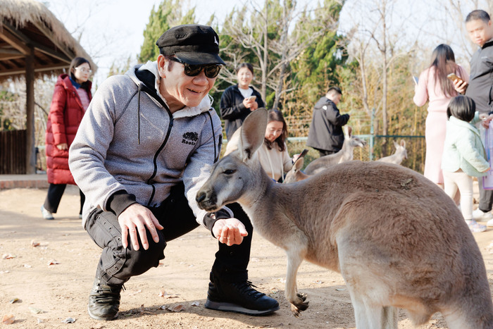 知名歌手赵传惊喜现身动物世界，与小小鸟梦幻联动