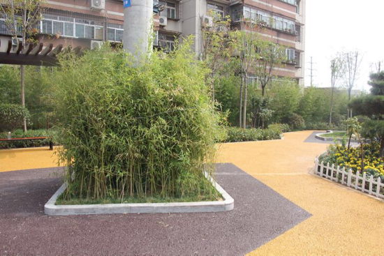 槐荫经十一路新增一处“口袋公园”  “连路面都是彩色的”