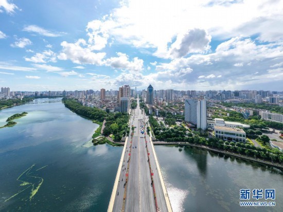 雨后城市湿地美