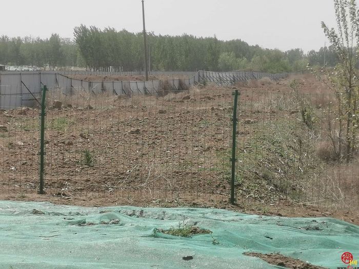 【啄木鸟行动】商河县玉皇路史家庄村附近渣土裸露