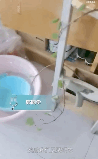 万物生长！好久不见的宿舍，推开门后懵了：人生处处有惊喜
