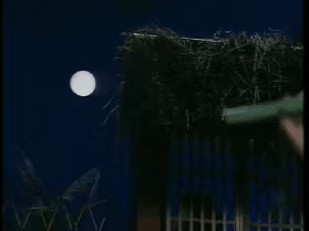 TVB|和张柏芝争艳，被10亿富豪逼婚，女神张可颐：我太贵你买不起