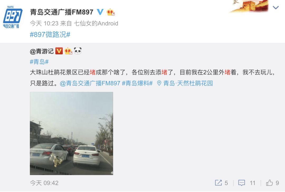 胶州湾大桥变停车场、高速堵到发红 躺在家的人偷着乐吧