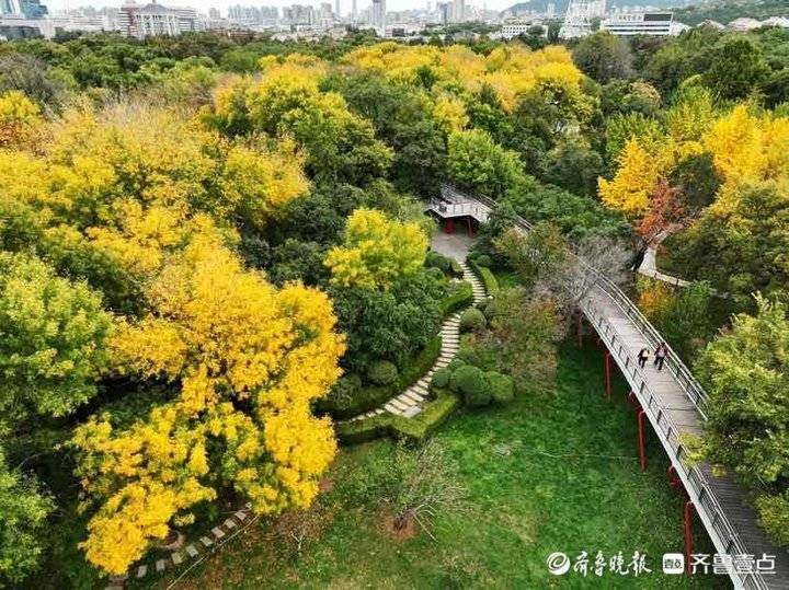深秋时节泉城公园，色彩斑斓