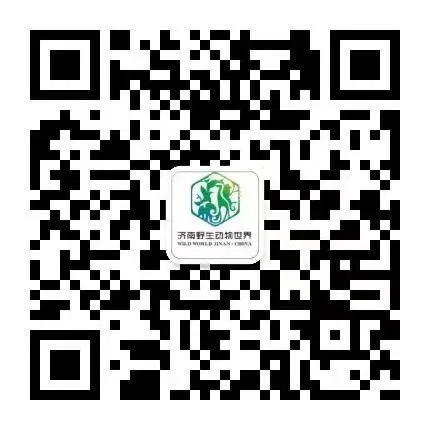 红叶谷免票预约通道已开启！“济南11家景区免门票”拉动酒店预定量攀升