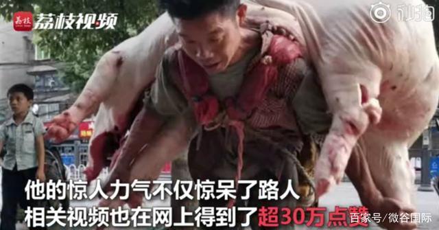 生活不易！贵阳背肉汉回应背480斤猪肉：靠这个体力活养活了一家人