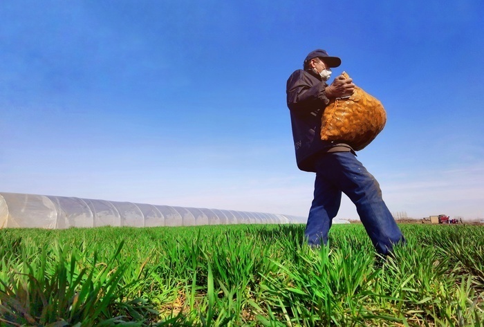 【春耕进行时】回看舜网记者带您走过的这些地方