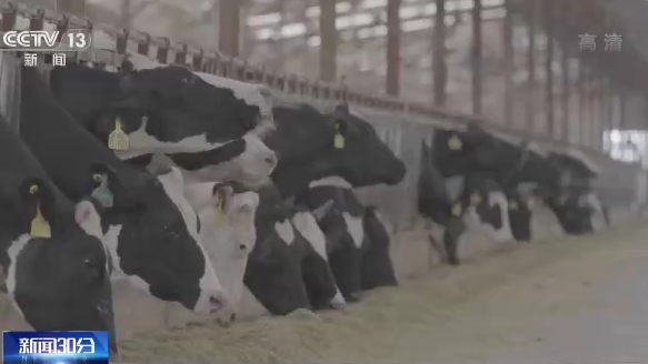 谷物基本自给、口粮绝对安全 中国人的饭碗这样端牢→