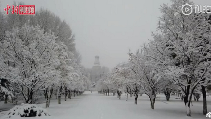 太美了吧！山西五台山迎来春雪，网友：红墙白雪，美如人间仙境