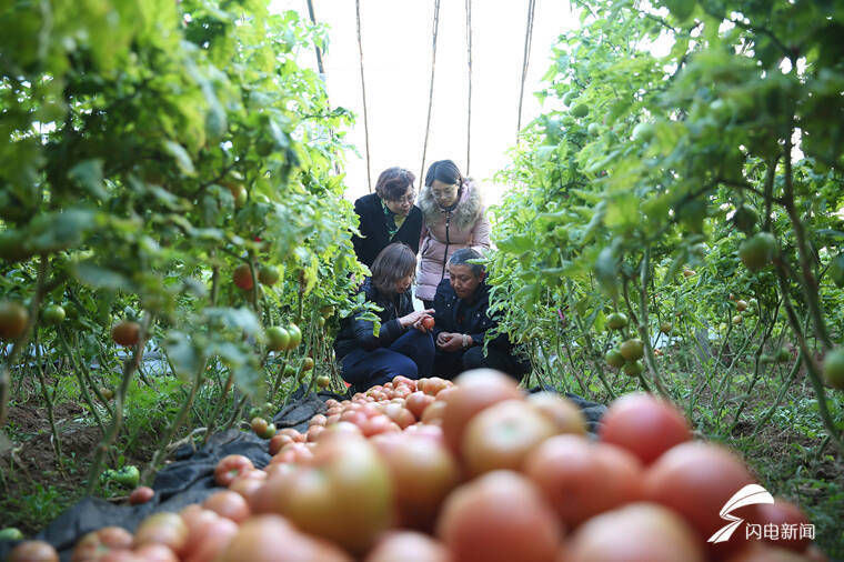 今年“三农”工作怎么干？山东省委农村工作会议11个关键词定调