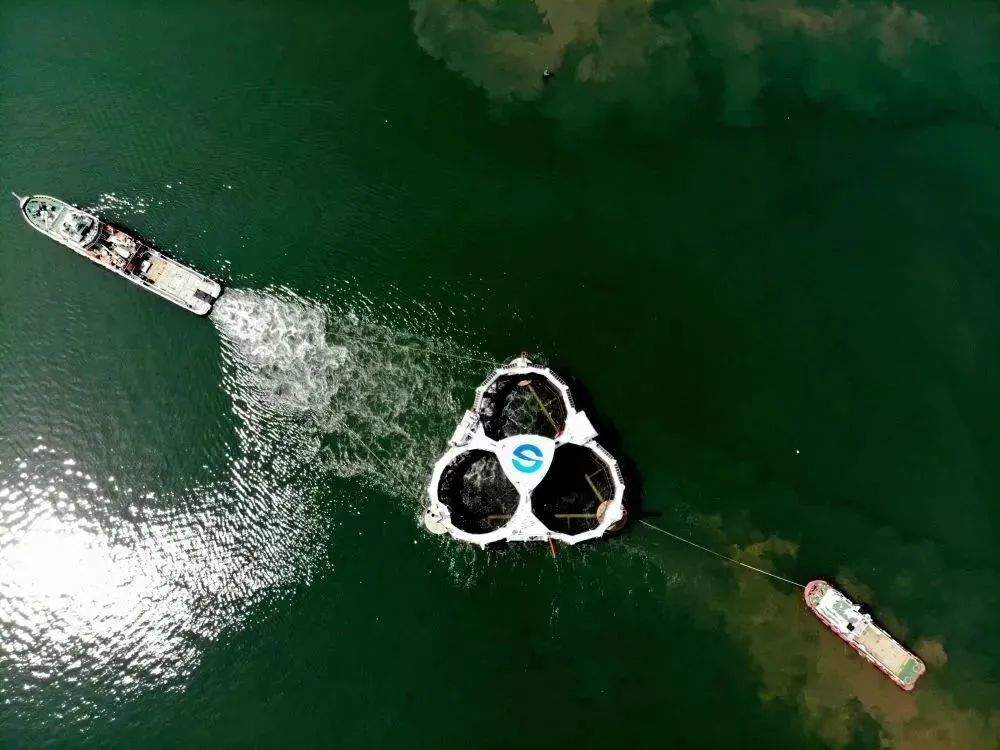 “553N”——解锁乡村振兴“山东密码”