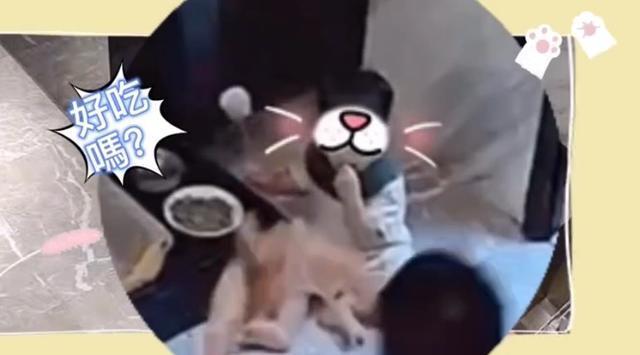 安以轩儿子翻越床板超惊险，小小年纪身手不错化险为夷