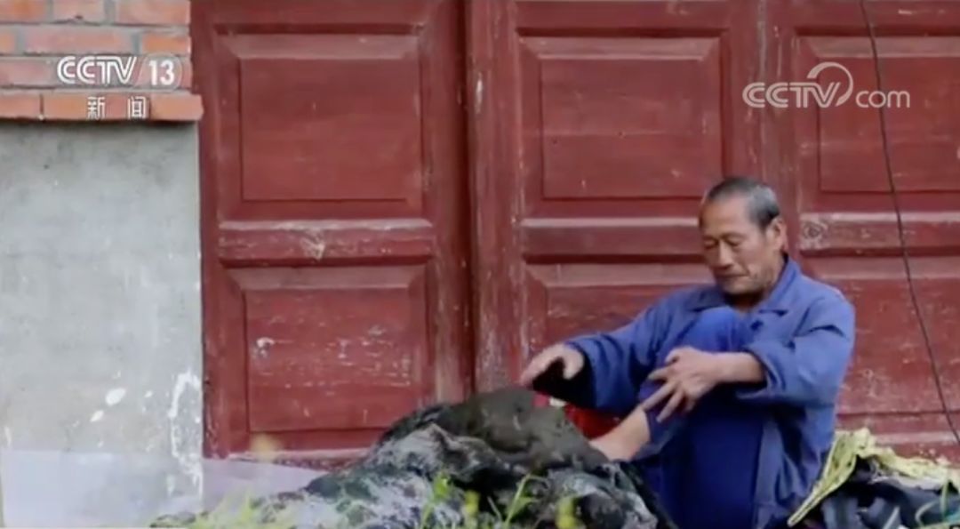 感动！七旬老人贴万张寻人启事寻找老伴:余生只为找到你！