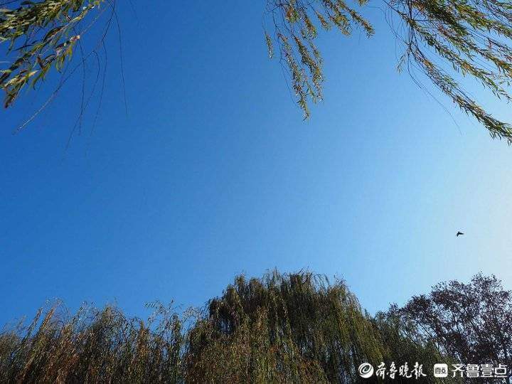寒潮过后，济南的天“冷蓝冷蓝”