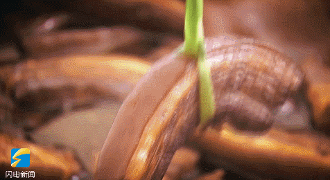 山东十二时辰，每一秒都hin惊艳