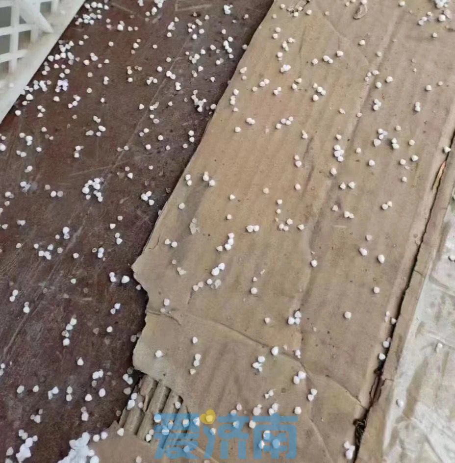 “春如四季”！下周济南天气依旧不“省心” 气温起伏风力大