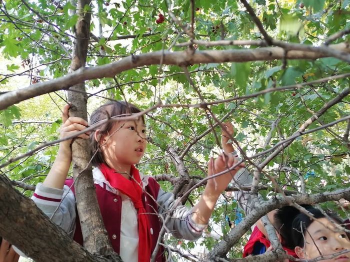高新区科航路学校四级部举行快乐校园采摘节