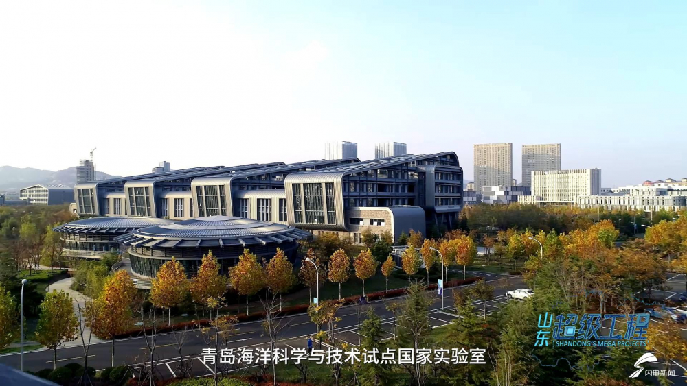 向海而兴逐梦深蓝，抒写海洋强国新篇章
