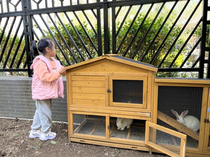 槐荫区礼乐佳苑幼儿园萌娃喊你来劳动啦