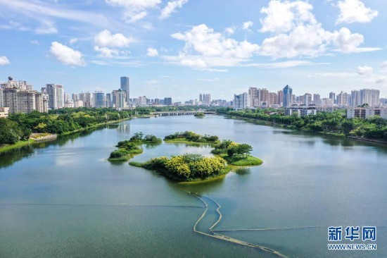 雨后城市湿地美