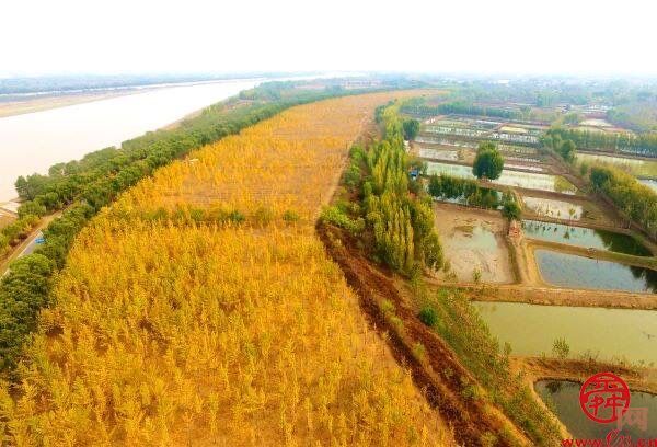 饮用水水源地达标率100%  绿化覆盖率近50%  生态槐荫谱写人与自然和谐共生现代化篇章