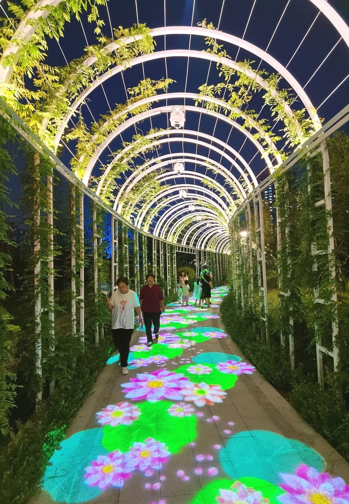 突出文化主题，创新生态价 济南醉于一园秋意间